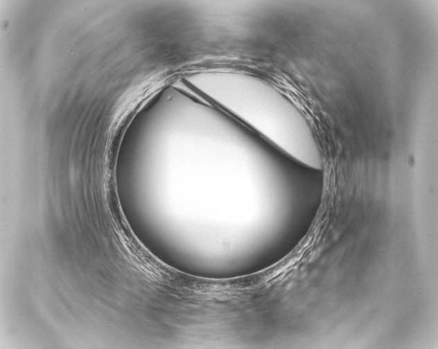 X0000088200293200705151319
