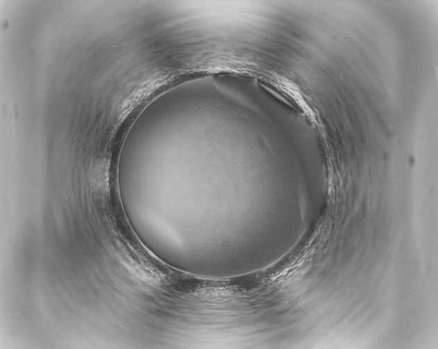 X0000088200299200705151319