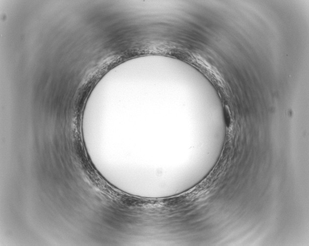 X0000088200306200705151319