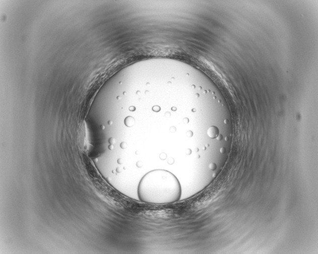X0000088200307200705151319