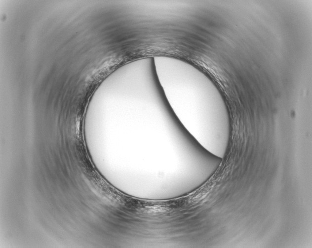 X0000088200310200705151319