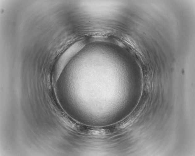 X0000088200317200705151319