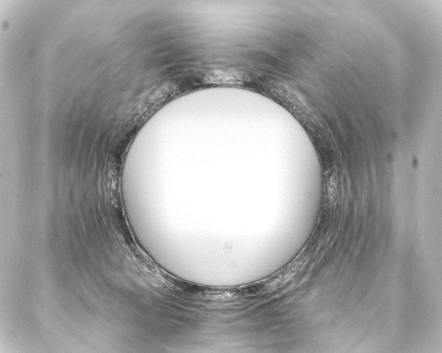 X0000088200322200705151319