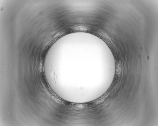 X0000088200330200705151319