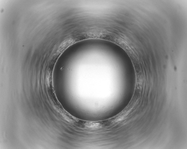 X0000088200334200705151319