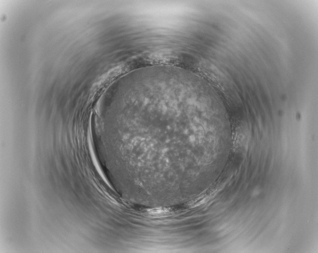 X0000088200335200705151319