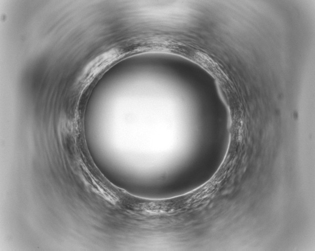 X0000088200338200705151318