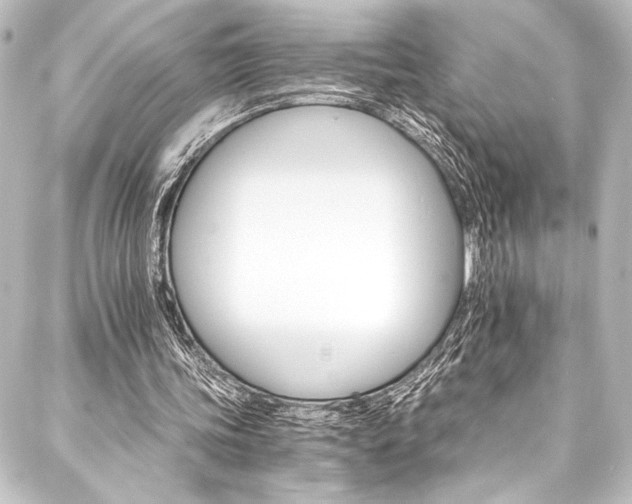 X0000088200339200705151318