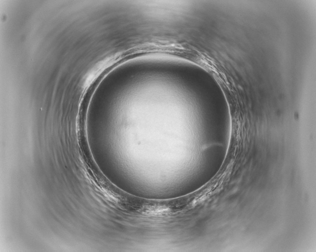 X0000088200340200705151318