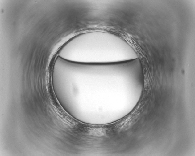 X0000088200342200705151318