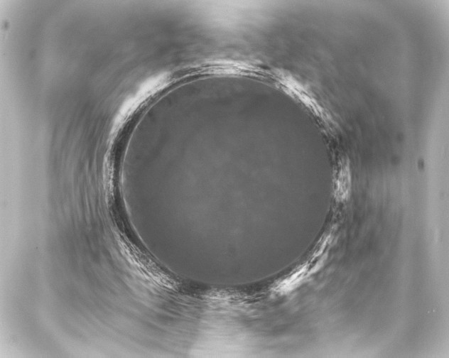 X0000088200343200705151318