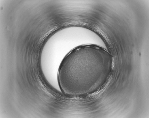 X0000088200356200705151318