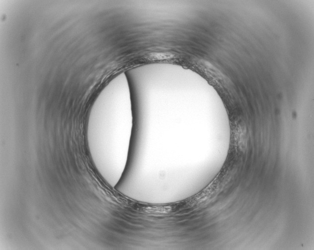 X0000088200373200705151319