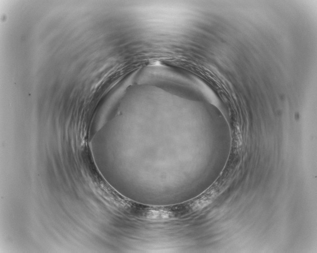 X0000088200376200705151319