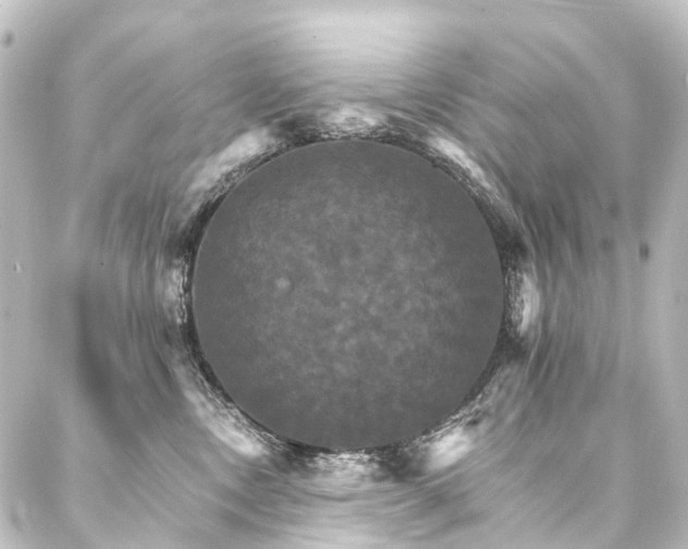 X0000088200378200705151319