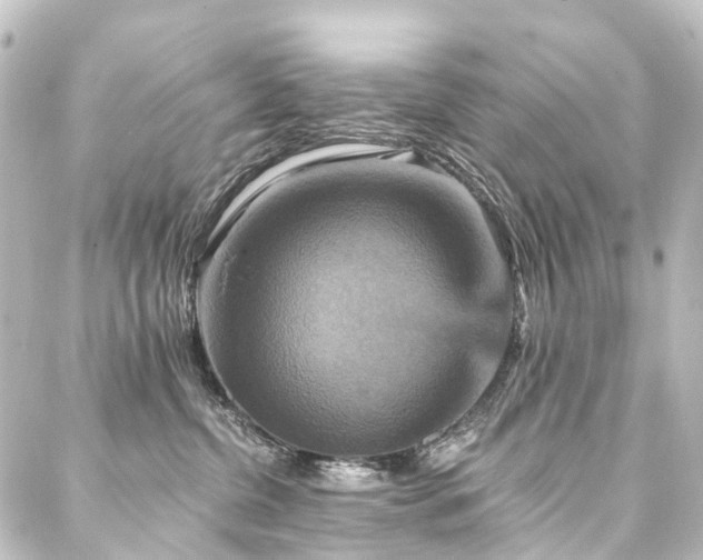X0000088200380200705151319