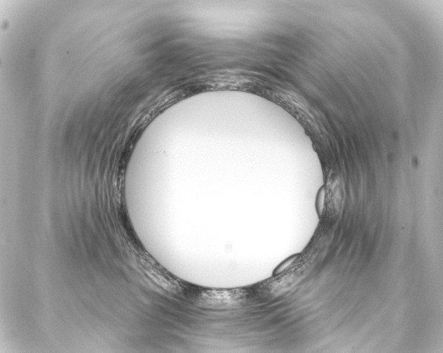 X0000088200381200705151319