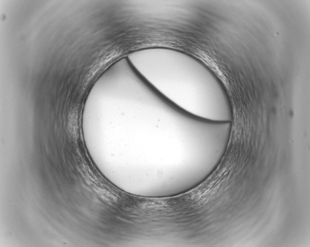 X0000088200386200705151318