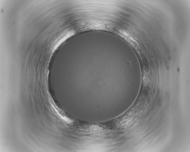 X0000088200390200705151318