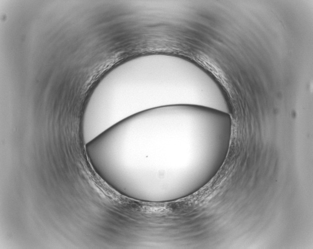 X0000088200401200705151318