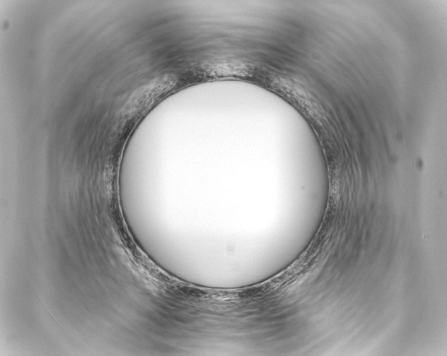 X0000088200402200705151318