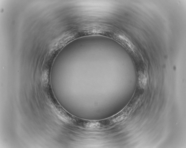 X0000088200410200705151318