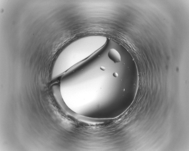 X0000088200411200705151318