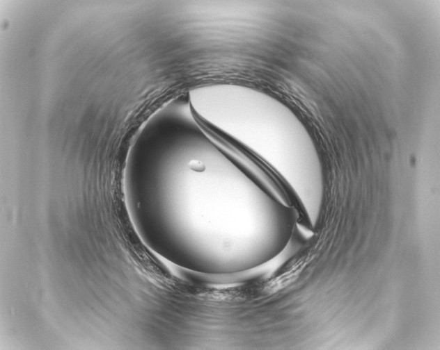 X0000088200412200705151318