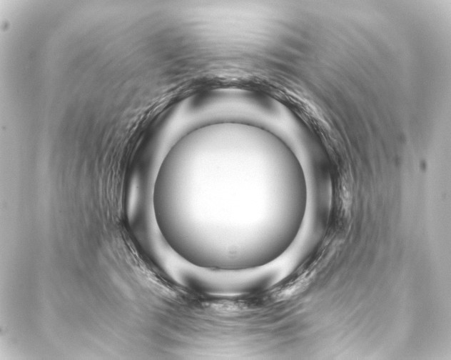 X0000088200417200705151317
