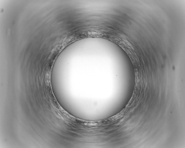 X0000088200419200705151317