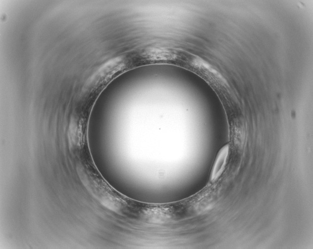 X0000088200422200705151317