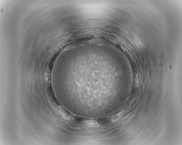 X0000088200424200705151317