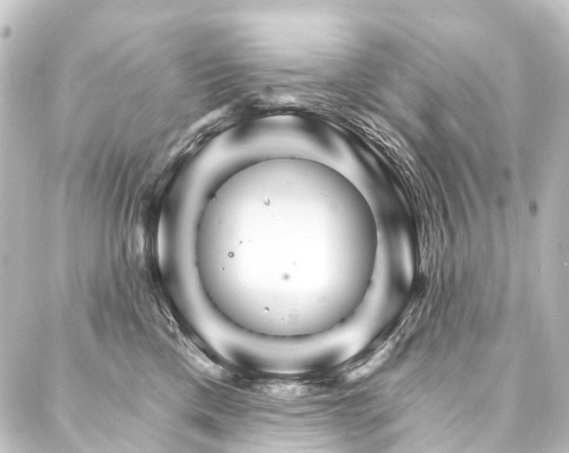 X0000088200425200705151317