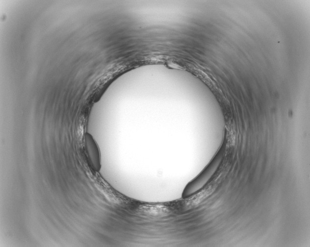 X0000088200427200705151317