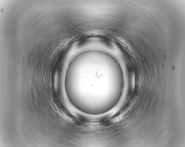 X0000088200429200705151317