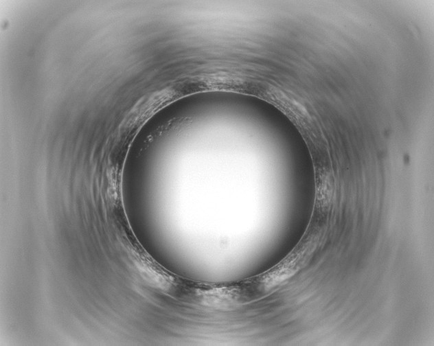 X0000088200430200705151317
