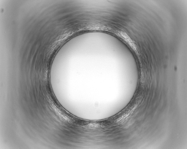 X0000088200441200705151317