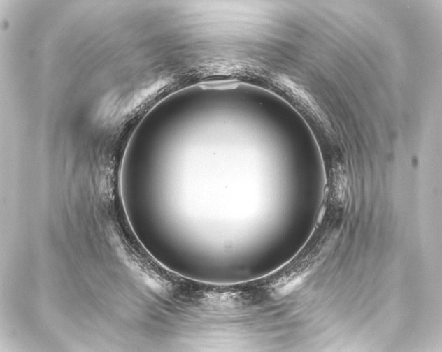 X0000088200450200705151317