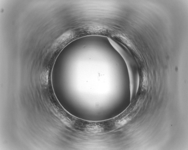 X0000088200454200705151317