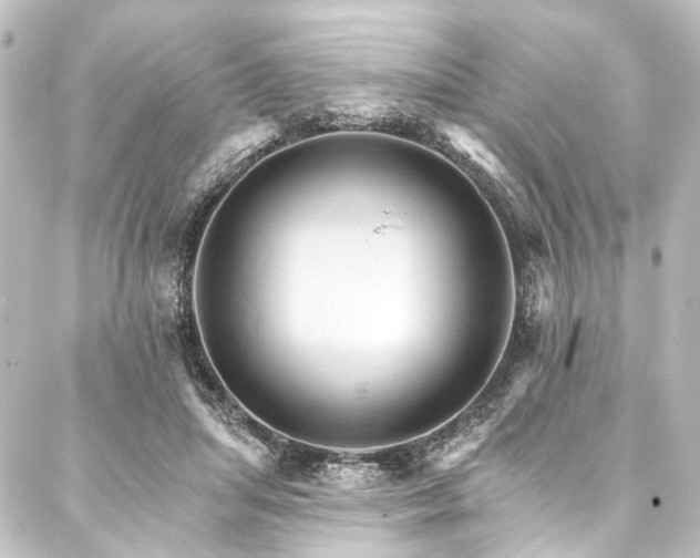 X0000088200455200705151317