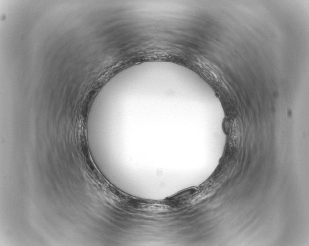 X0000088200463200705151317