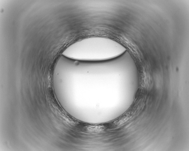 X0000088200465200705151317