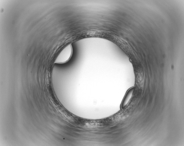 X0000088200470200705151317
