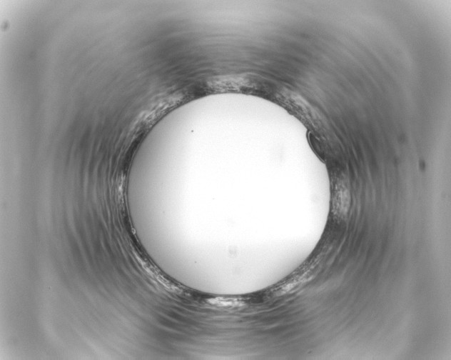 X0000088200477200705151317