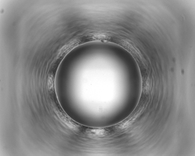 X0000088200478200705151317