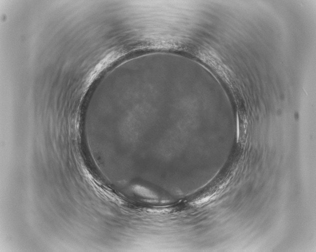 X0000088200483200705151316