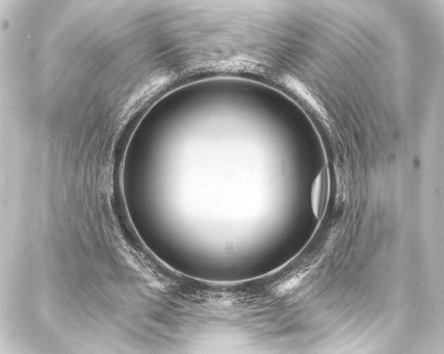 X0000088200486200705151316