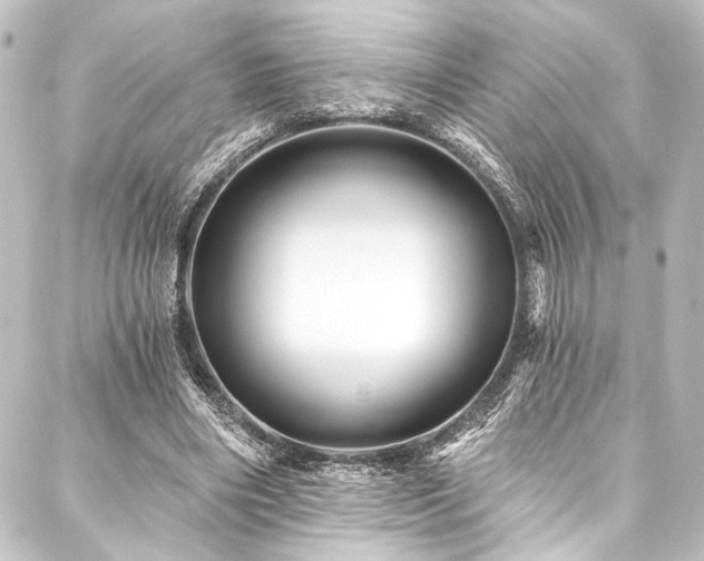 X0000088200490200705151316