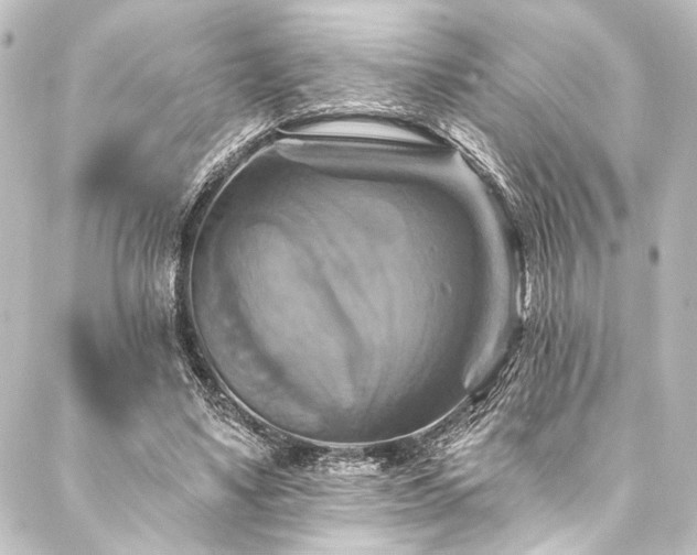 X0000088200491200705151316