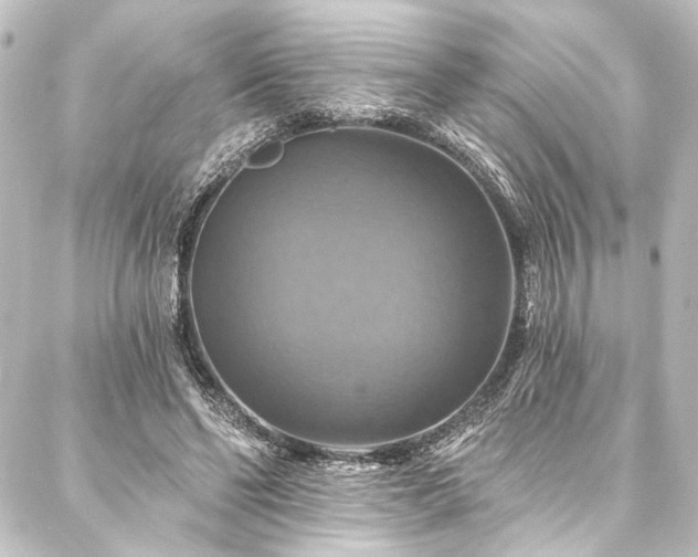 X0000088200494200705151316
